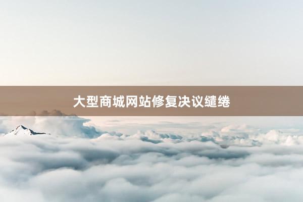 大型商城网站修复决议缱绻