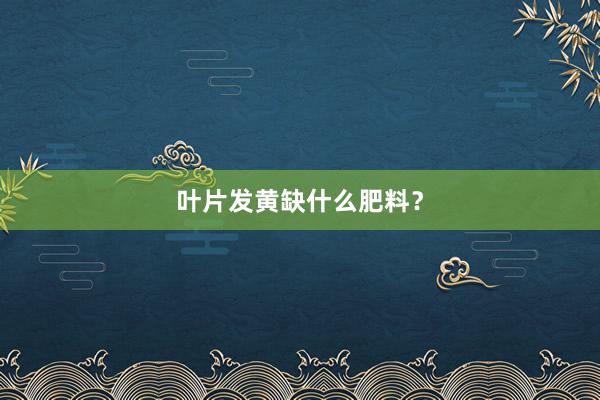 叶片发黄缺什么肥料？