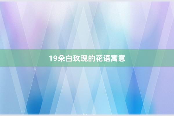 19朵白玫瑰的花语寓意